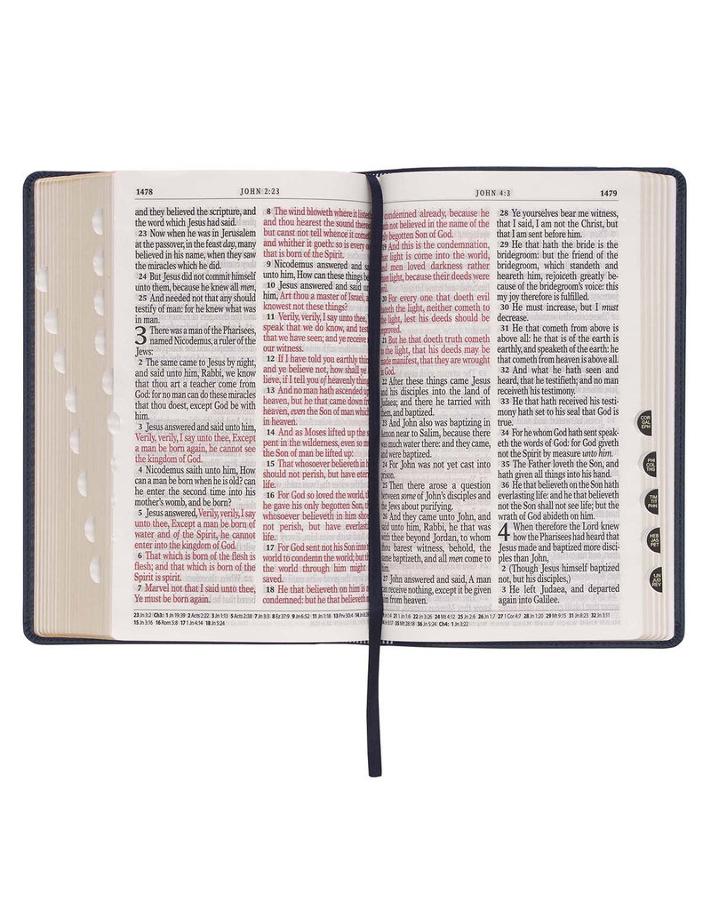 Giant Print Standard Bible two Tone Black/Gray Leathersoft Thumb Indexed