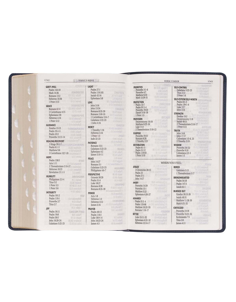 Giant Print Standard Bible two Tone Black/Gray Leathersoft Thumb Indexed