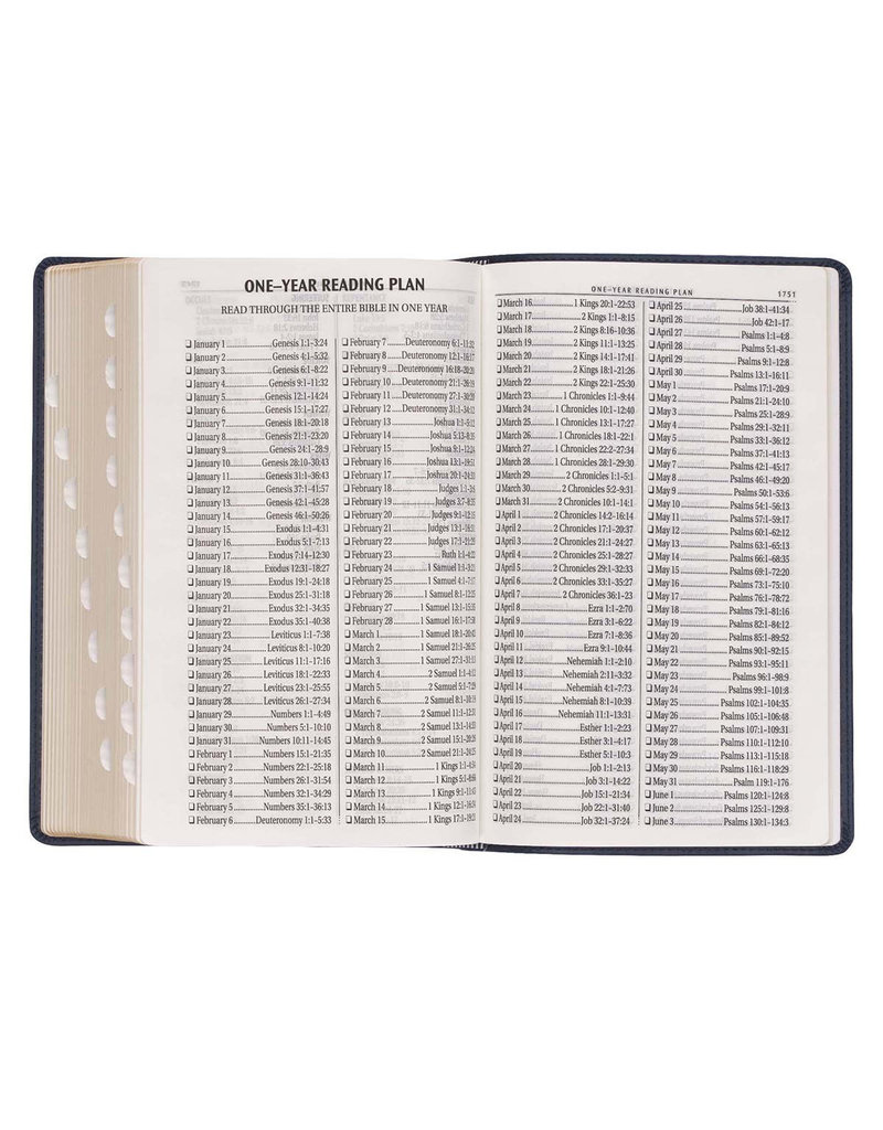 Giant Print Standard Bible two Tone Black/Gray Leathersoft Thumb Indexed