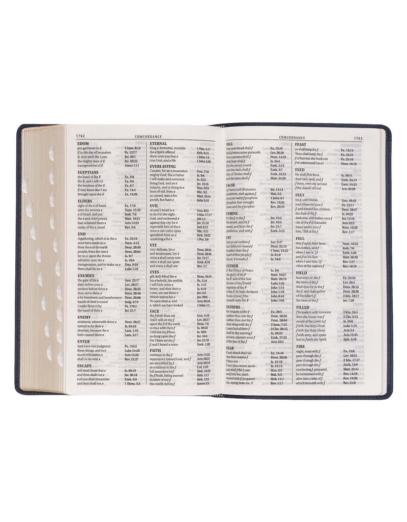 Giant Print Standard Bible two Tone Black/Gray Leathersoft Thumb Indexed