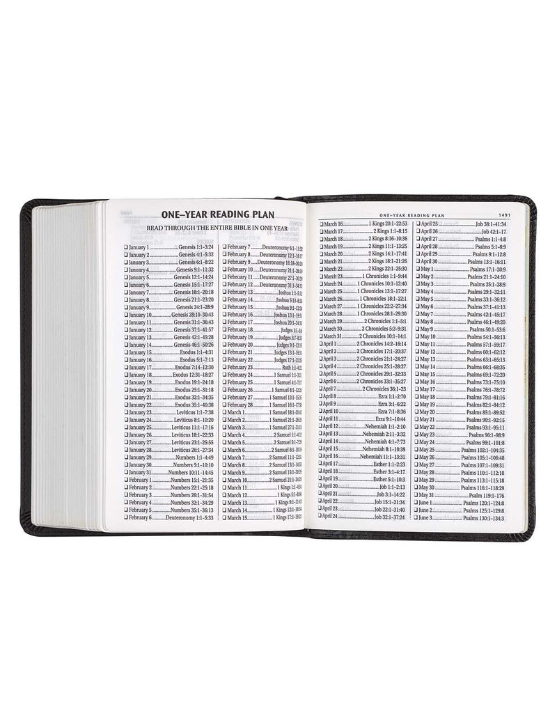 Large Print Black Compact Bible