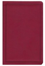 Deluxe Gift Bible Burgundy LeatherTouch