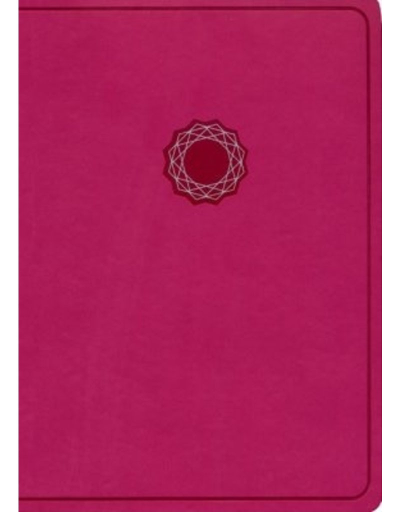 Deluxe Gift Bible, Pink LeatherTouch