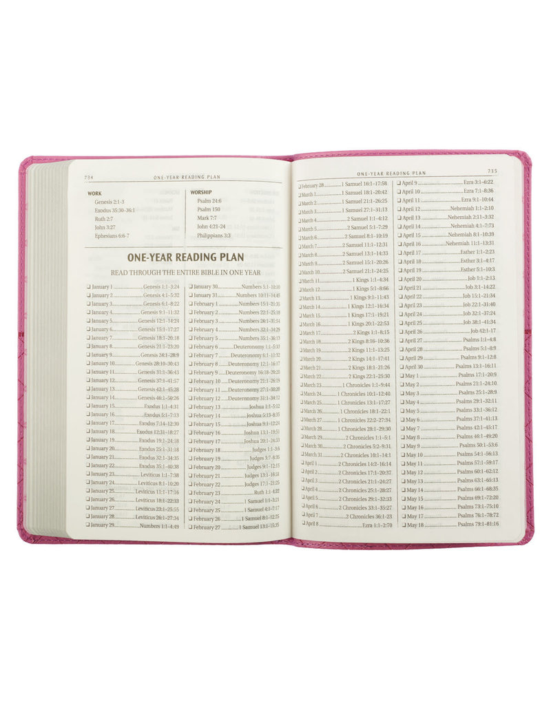 Gift Edition Bible Slimline Pink