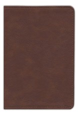 Thompson Chain-Reference Handy Size Bible Brown Leathersoft