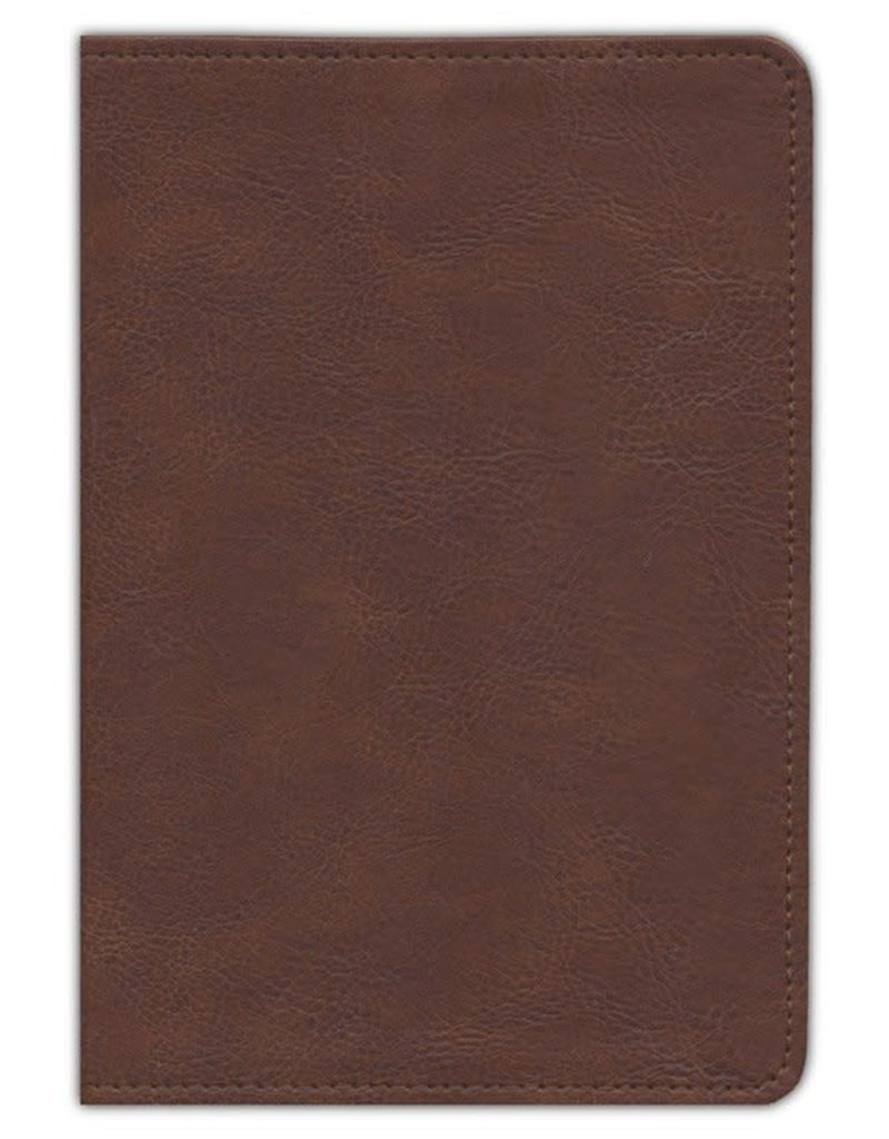 Thompson Chain-Reference Handy Size Bible Brown Leathersoft