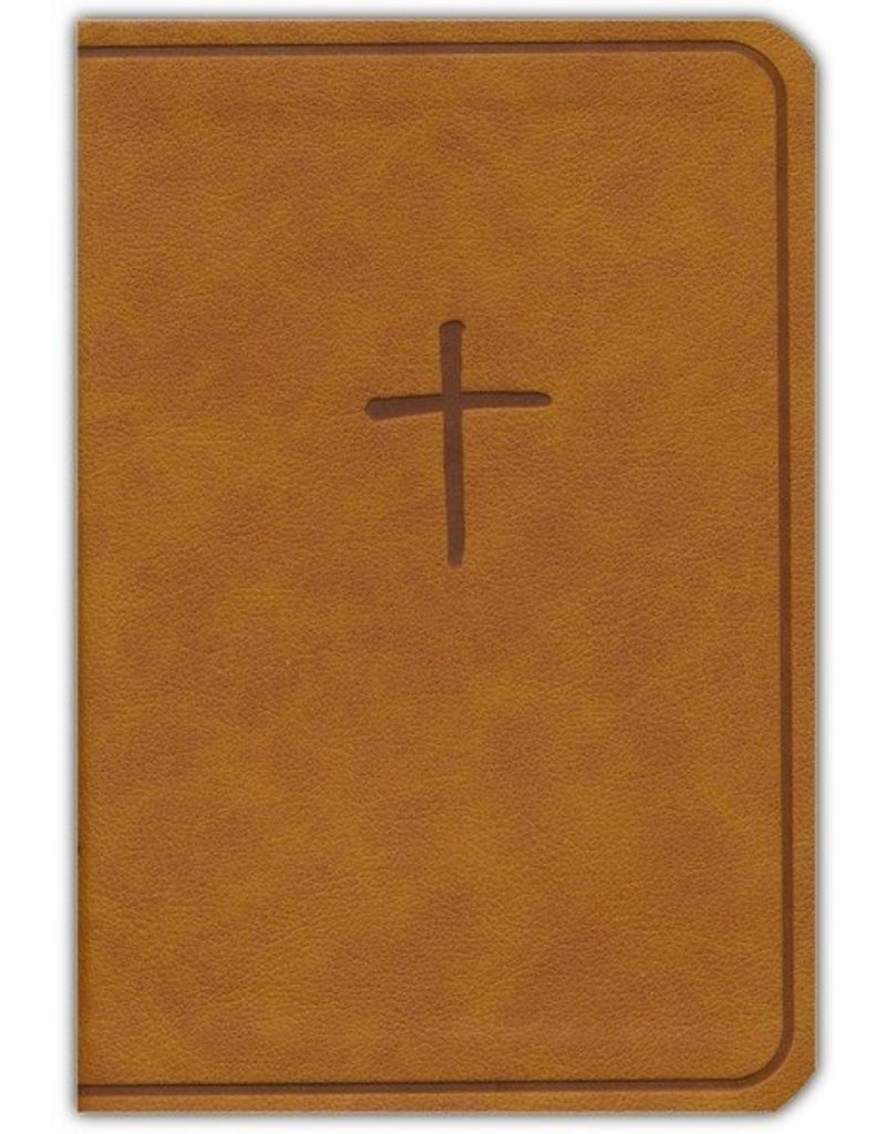 On the Go Bible Ginger Leathertouch