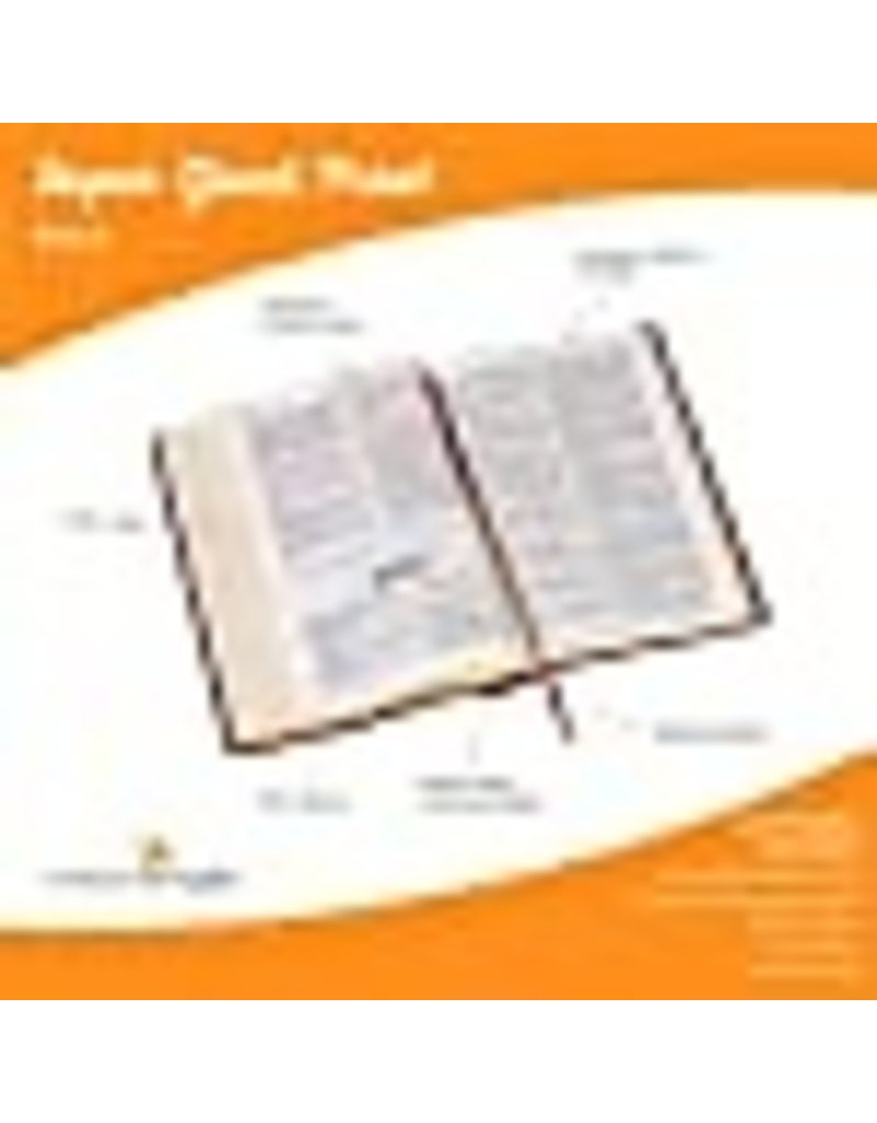 Super Giant Print Bible Brown Leathersoft