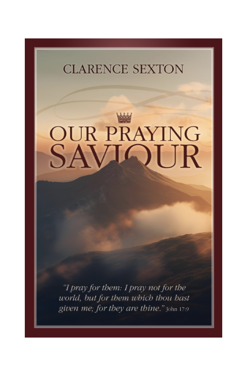 praying for you is my love language: akhira: 9798325199653