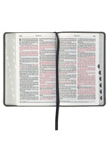 Gray with Black Inlay Faux Leather Giant Print Standard-size KJV Bible with Thumb Indexing
