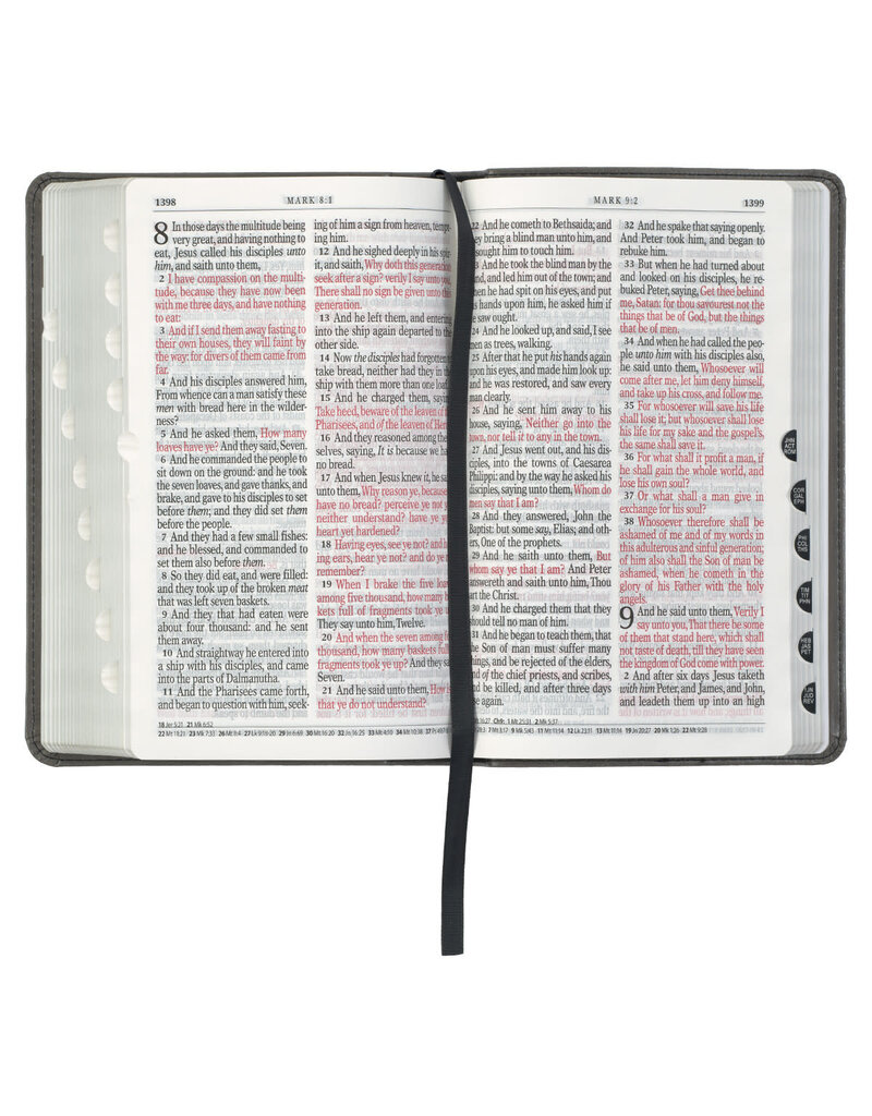 Gray with Black Inlay Faux Leather Giant Print Standard-size KJV Bible with Thumb Indexing