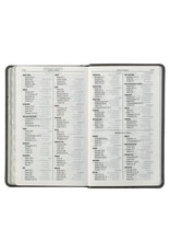 Gray with Black Inlay Faux Leather Giant Print Standard-size KJV Bible with Thumb Indexing