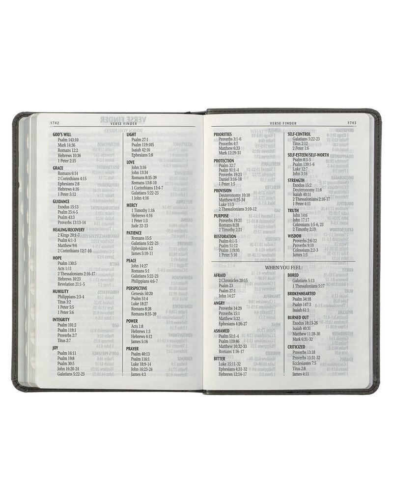 Gray with Black Inlay Faux Leather Giant Print Standard-size KJV Bible with Thumb Indexing
