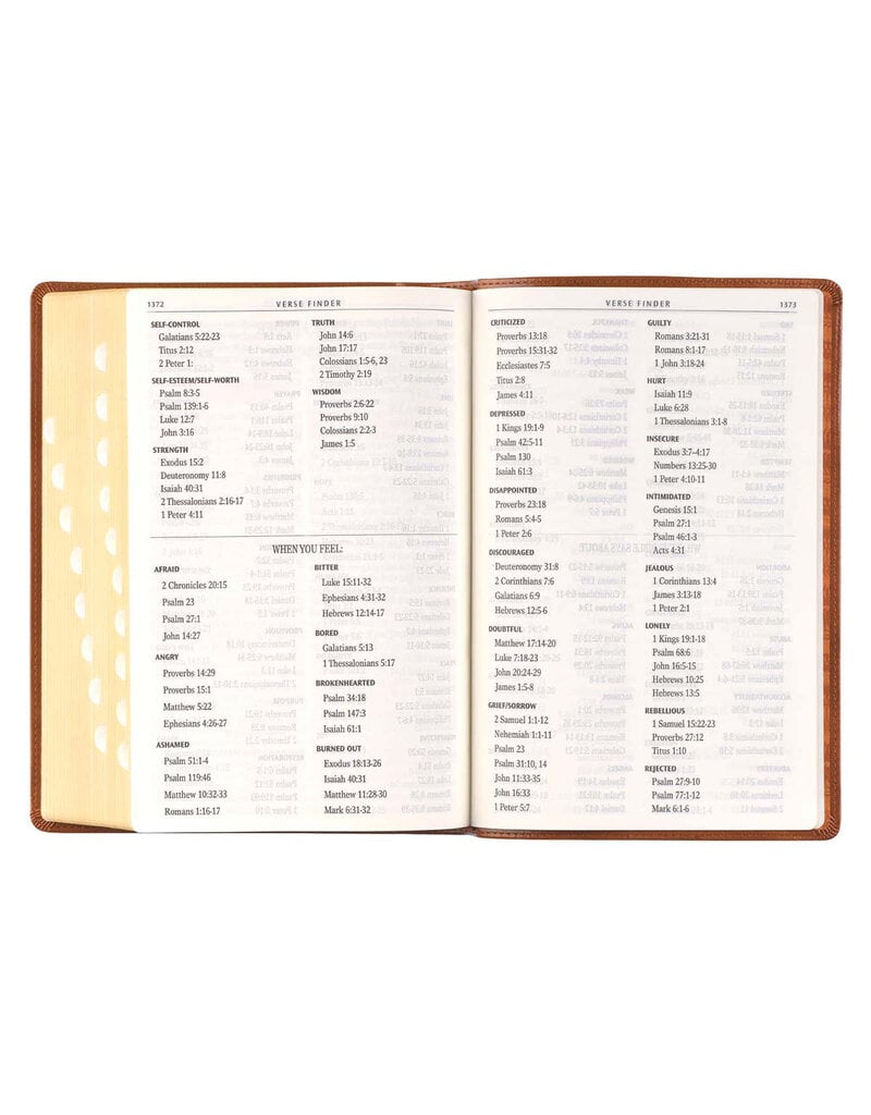 Giant Print Full-Size Bible Duo Tone Brown Leathersoft Thumb Indexed
