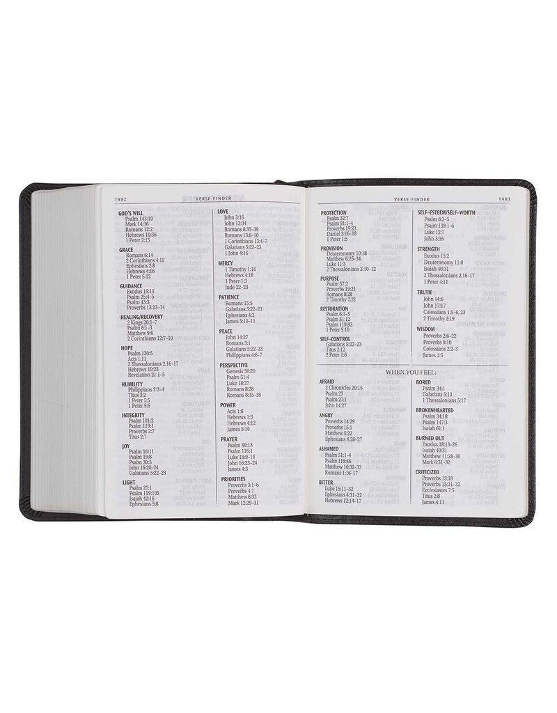 Large Print Dark Brown Compact Bible
