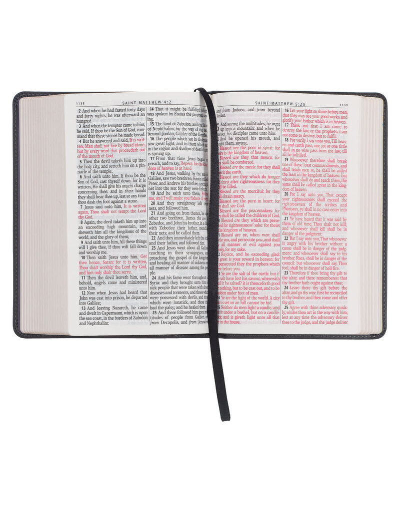 Cobalt Gray Large Print Compact King James Version Bible