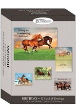Wild Horses Birthday Cards