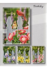 Backyard Beauties Birthday Cards