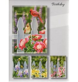 Backyard Beauties Birthday Cards