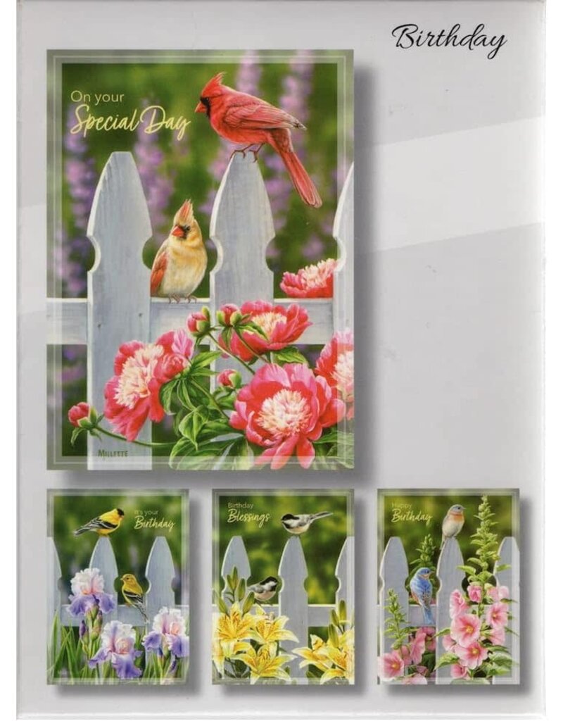 Backyard Beauties Birthday Cards