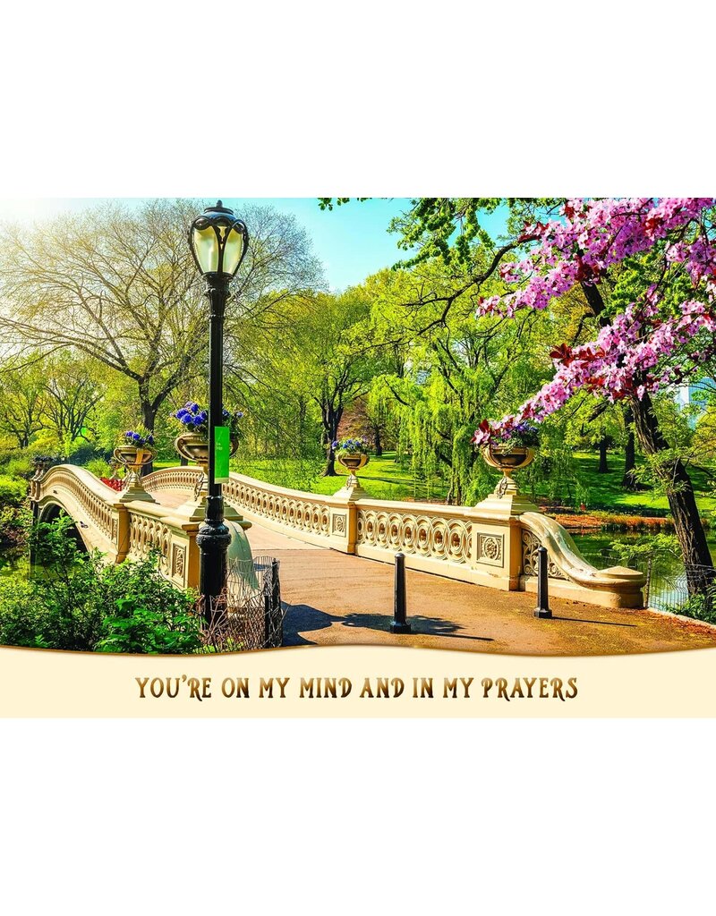Pathways Thinking of You Cards