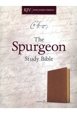Holman Spurgeon Study Bible Tan Leathertouch