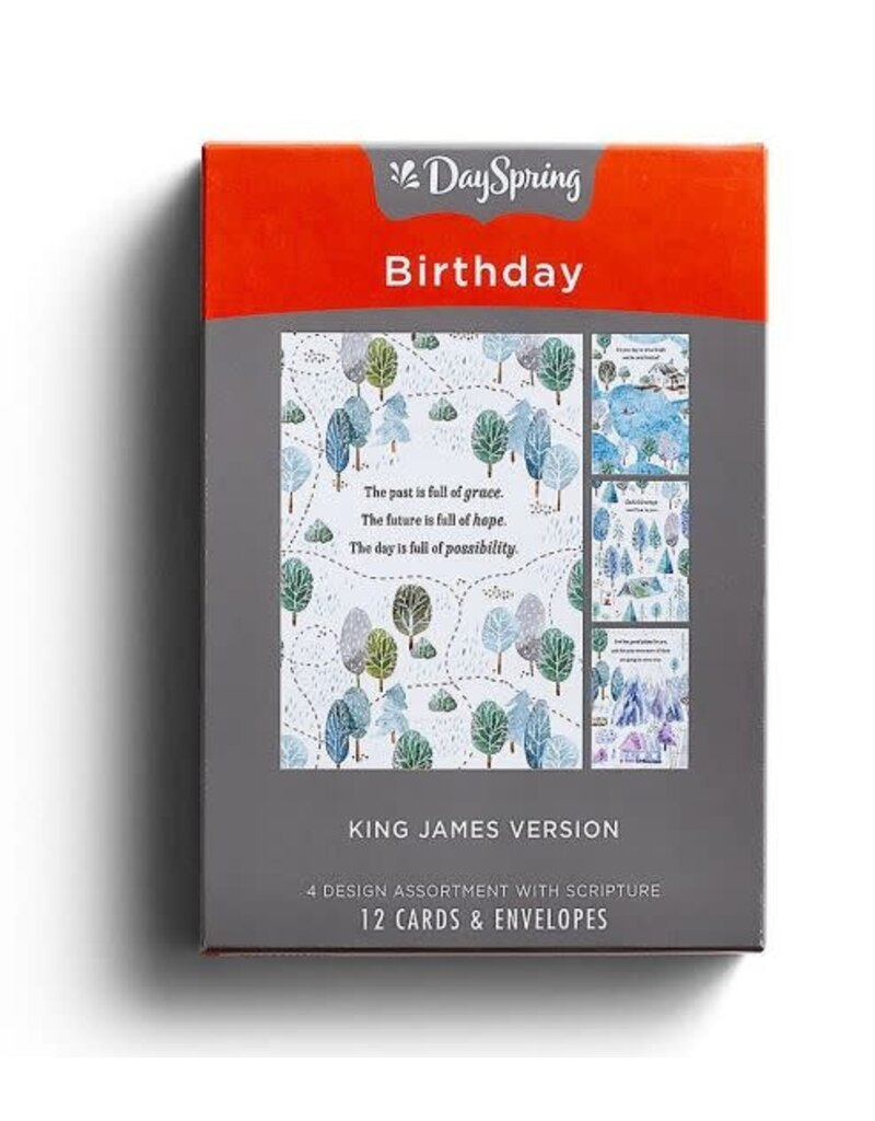 Camping Fun Birthday Cards