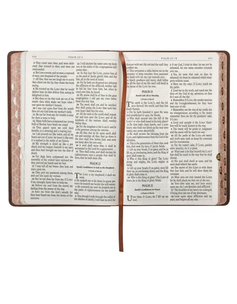 Lion Brown Faux Leather Kid's King James Version Bible