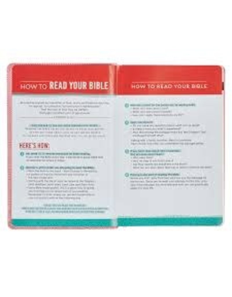 Blossom Pink Heart Faux Leather King James Version Kid's Bible