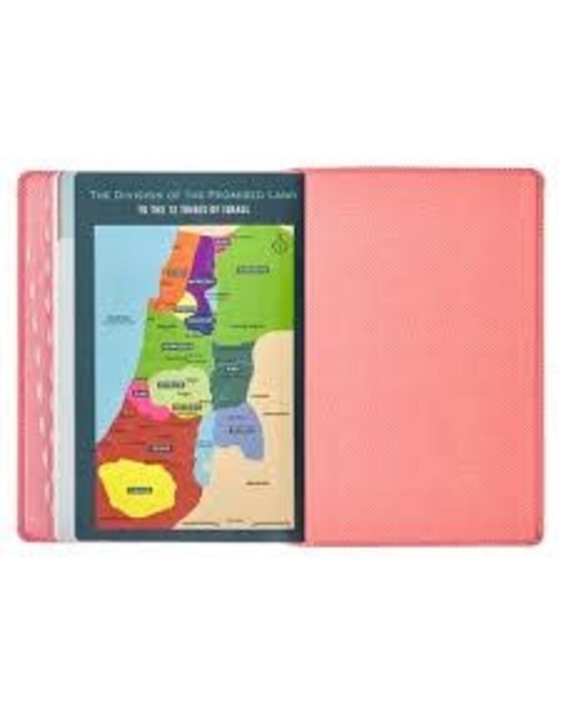 Blossom Pink Heart Faux Leather King James Version Kid's Bible
