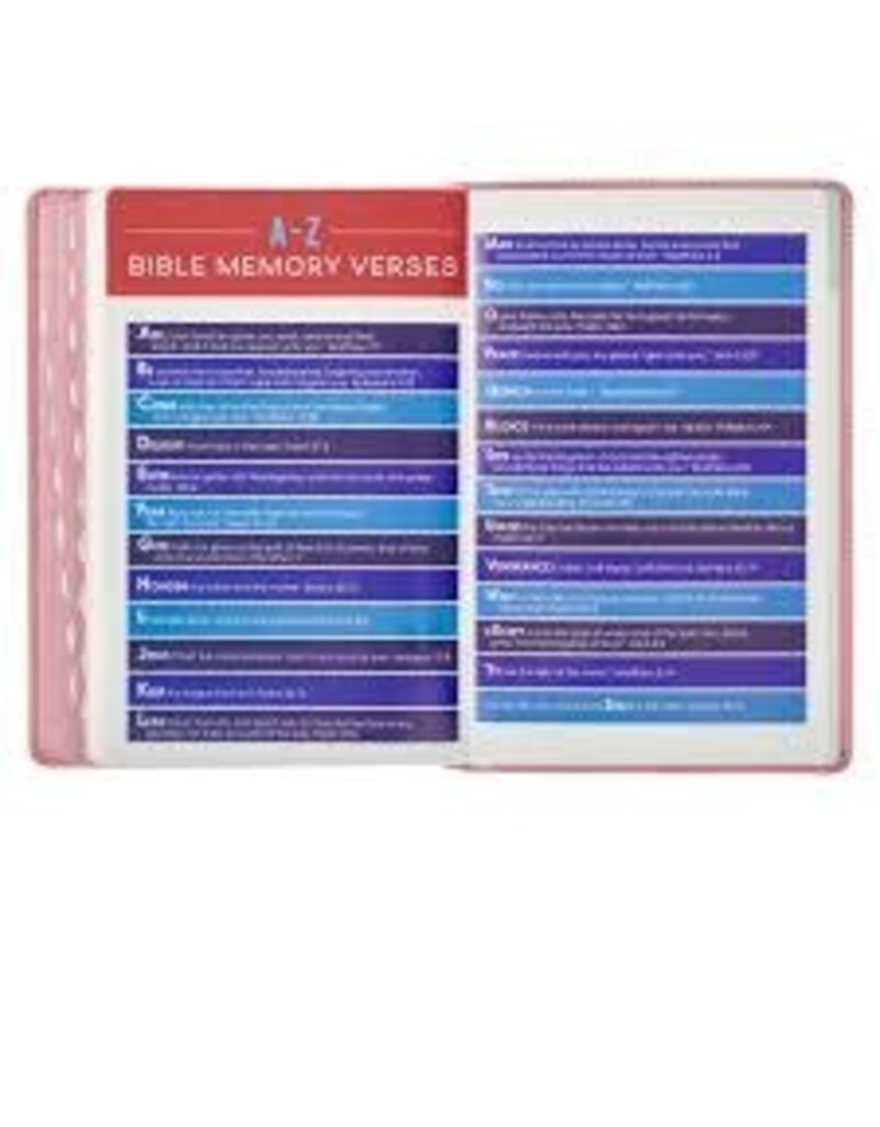 Blossom Pink Heart Faux Leather King James Version Kid's Bible