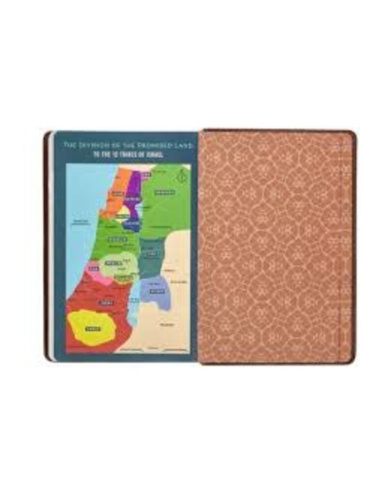 Lion Brown Faux Leather Kid's King James Version Bible