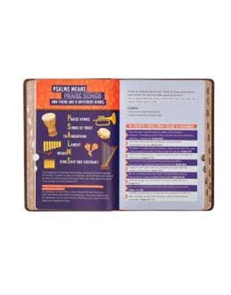 Lion Brown Faux Leather Kid's King James Version Bible
