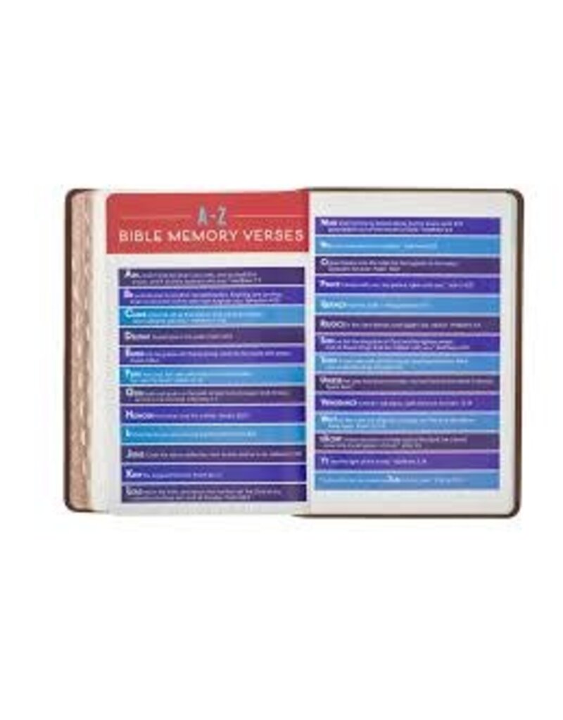 Lion Brown Faux Leather Kid's King James Version Bible