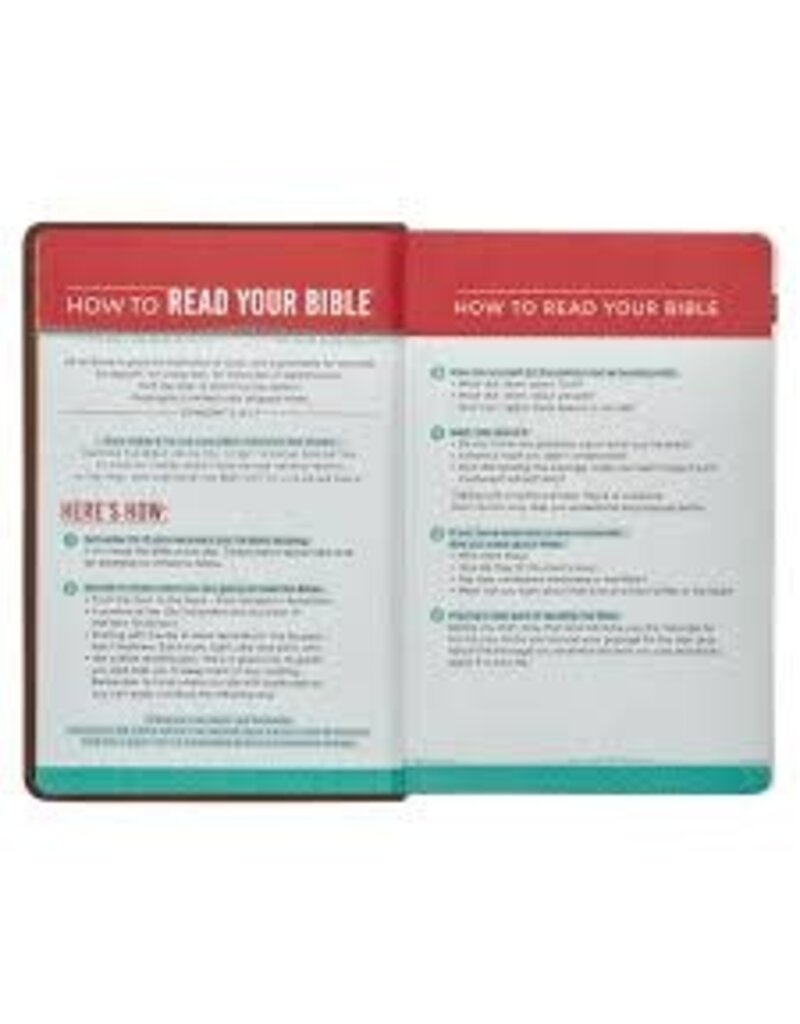 Lion Brown Faux Leather Kid's King James Version Bible