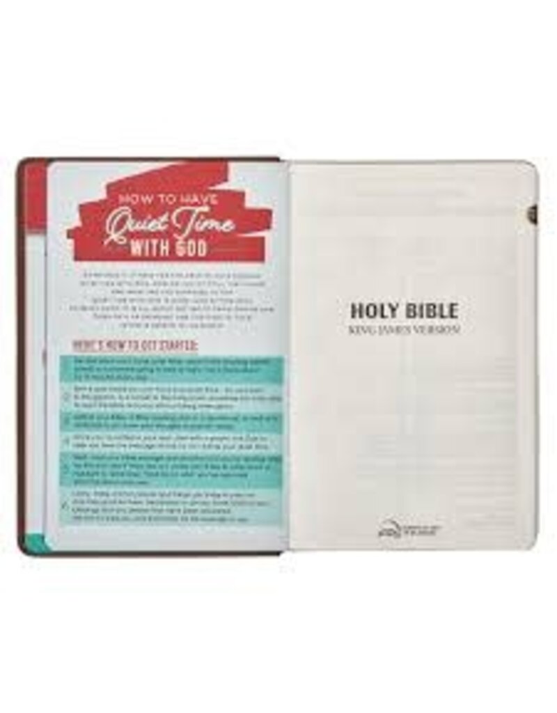 Lion Brown Faux Leather Kid's King James Version Bible