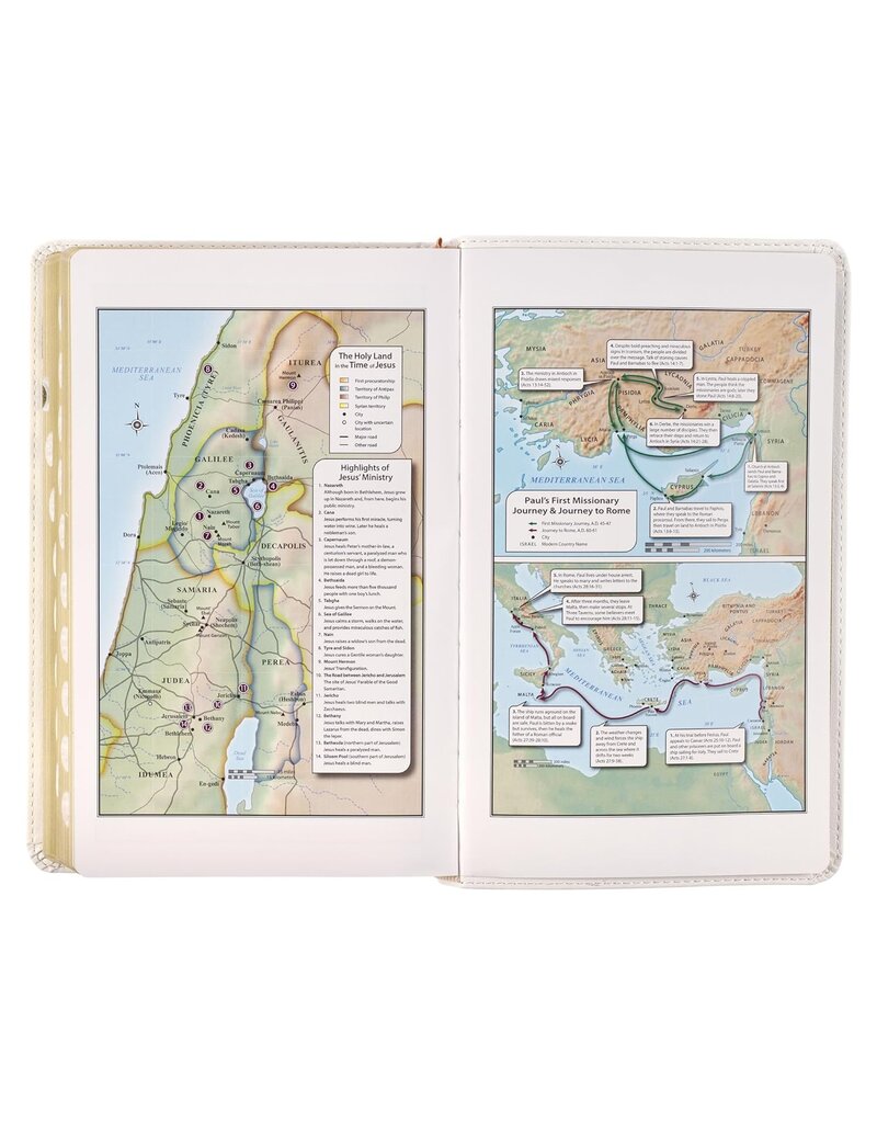 White Floral Faux Leather Giant Print Standard-size King James Version Bible with Thumb Index