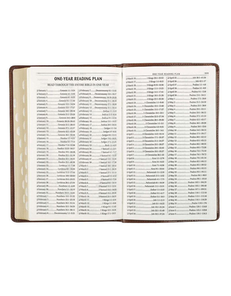 Gift Edition Bible Dark Brown Leathersoft Thumb Indexed