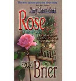 Rose From Brier