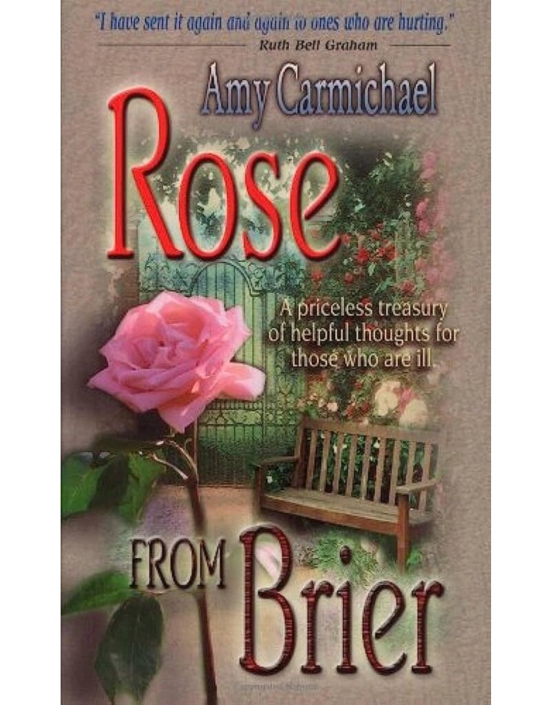 Rose From Brier