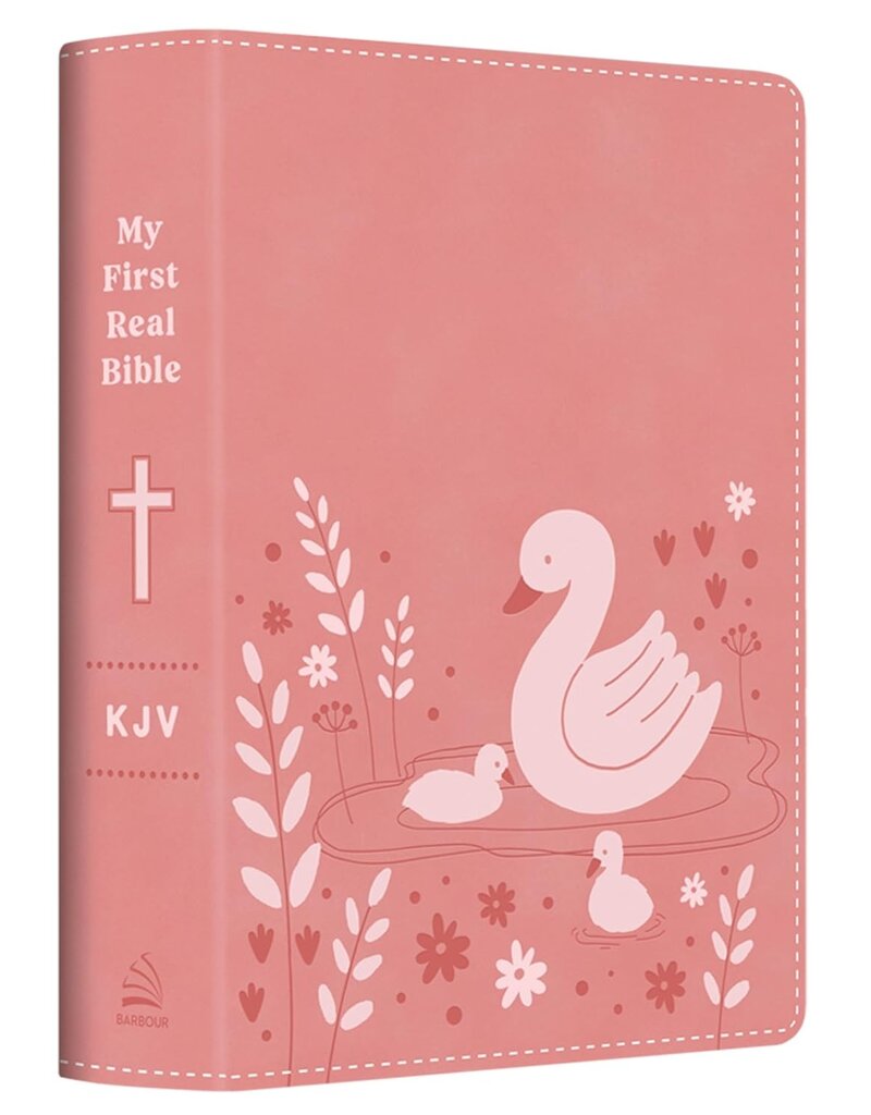 My First Real Bible (Girls' Cover): King James Version
