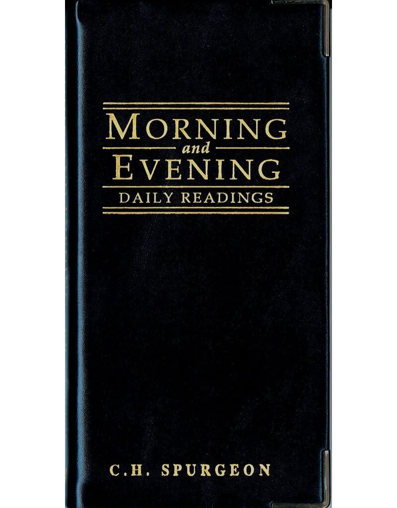 Morning & Evening