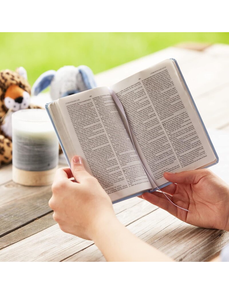 Baby's First New Testament, Leathersoft, Pink, Red Letter, Comfort Print: Holy Bible, King James Version
