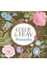 Color and Pray Proverbs