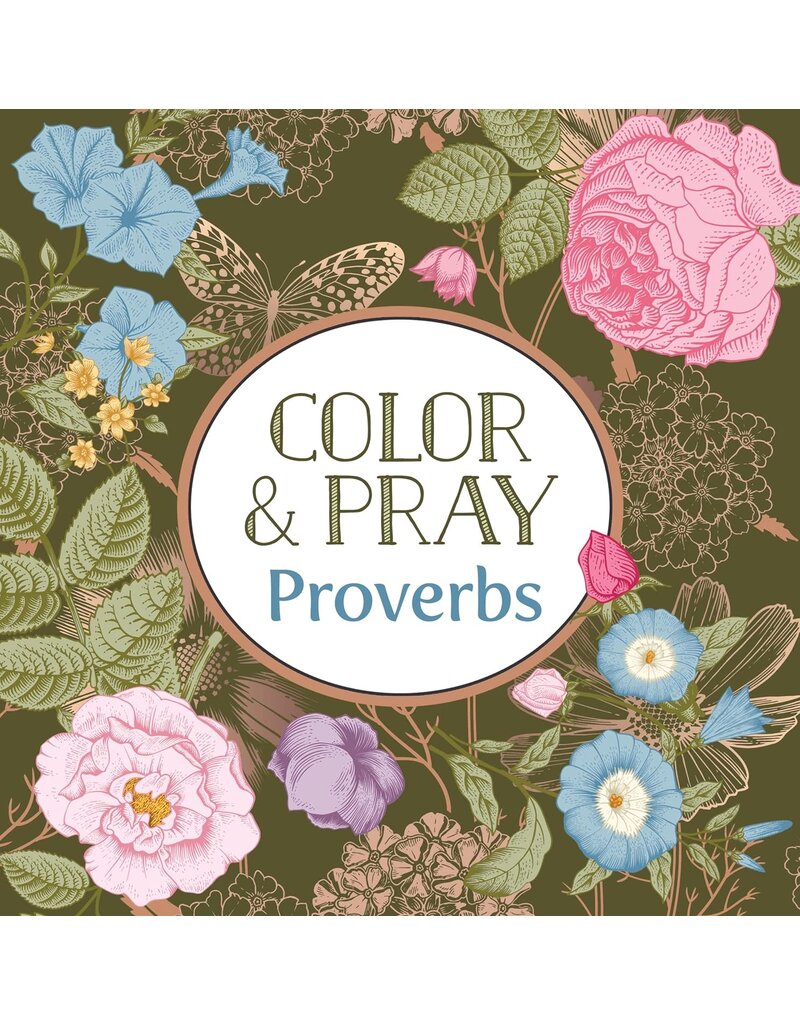 Color and Pray Proverbs