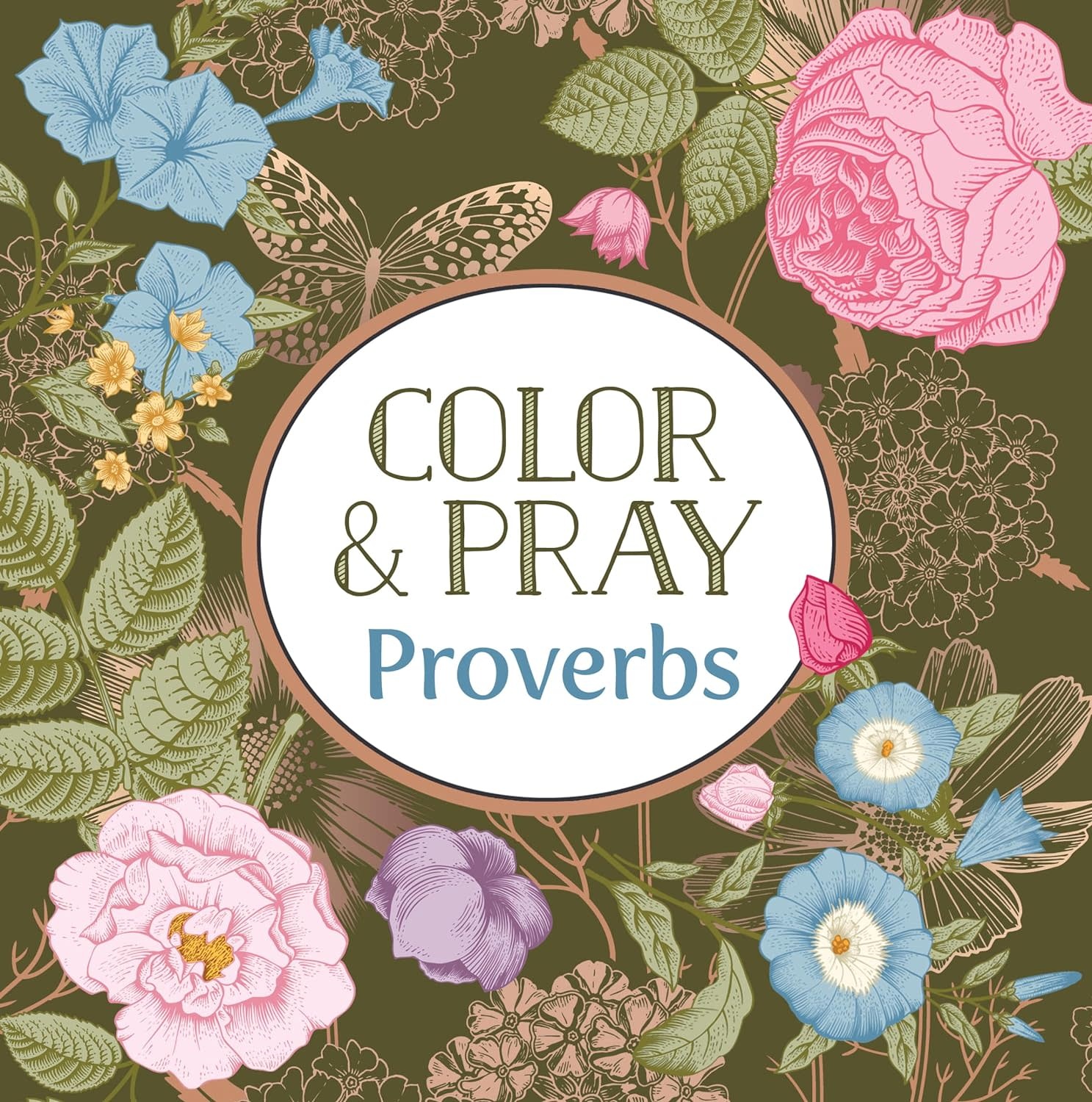 Pray Color Color and Pray Proverbs - Crown Bookshop