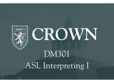 DM301