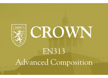 EN313