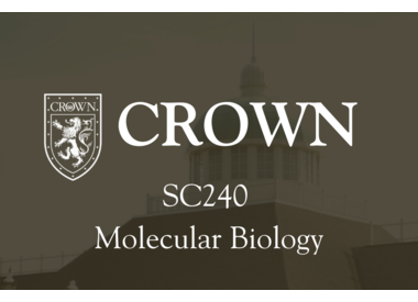 SC240