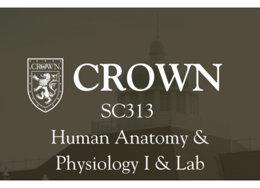 SC313